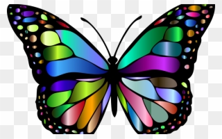 Trans Identity Border Crossing - Butterfly Insect Clipart