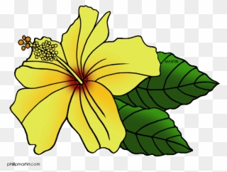 Download Hawaii State Flower Clip Art Clipart Hawaiian - Hawaii State Flower Clip Art - Png Download