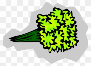 Broccoli - Vegetable Leaf Green Clipart - Png Download