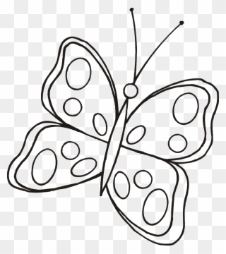Cute Butterfly Line Drawing Clipart Drawing Butterfly - Cute Butterfly Line Drawing - Png Download