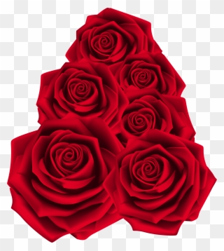 Flower Rose Png Clipart