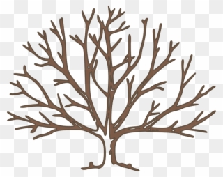 Tree, Bare, Winter, Branches, High - Draw A Winter Tree Clipart