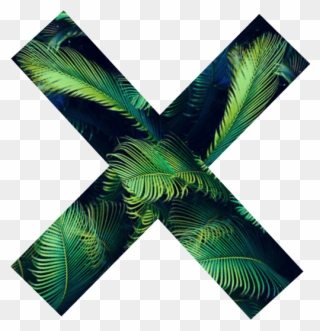 The Xx Tumblr Palm Tree - X Tumblr Png Clipart