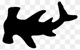 Shadows Clipart Shark - Hammerhead Shark Clip Art - Png Download
