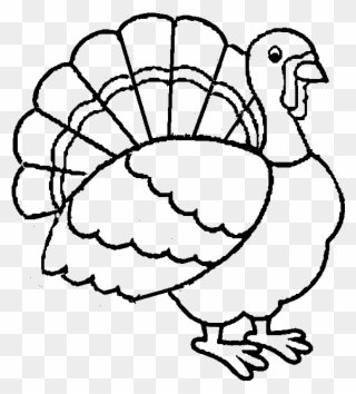 710 Top Turkey Bird Coloring Pages Pictures