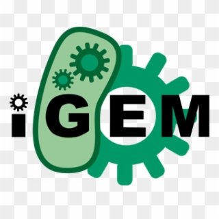 Working With Igem Teams - International Genetically Engineered Machine Clipart
