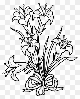 Lily Clipart Black And White - Easter Lily Coloring Pages - Png Download