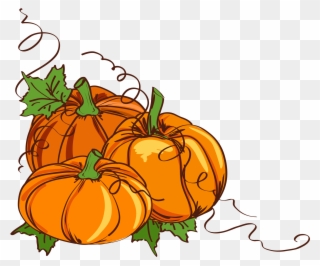 Wedding Invitation Thanksgiving Clip Art - Pumpkin Vines Clip Art - Png Download