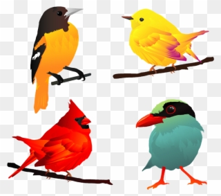 250 Free And Premium Animal Vectorsall Things Illustration - Beautiful Birds Clip Art - Png Download