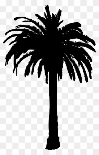 Skyline Clipart Palm Tree - Date Palm Tree Silhouette - Png Download
