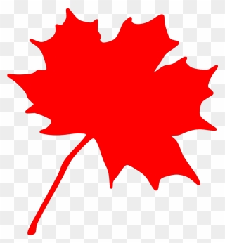 Canadian Maple Leaf Clip Art - Red Maple Leaf Clipart - Png Download