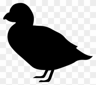 Canada Goose Duck Bird Silhouette - Siluet Tumbuhan Dan Hewan Clipart