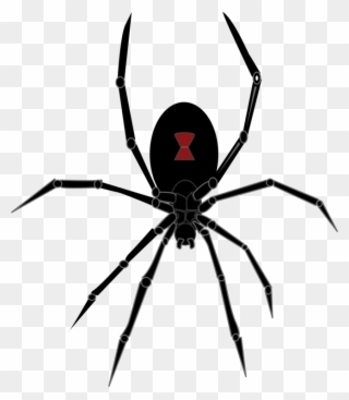 Spider Clipart Canada - Halloween Black Widow Spider - Png Download