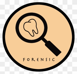 Forensic Dentistry Clipart