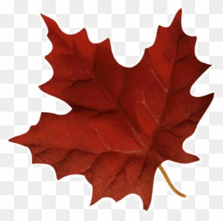 Autumn Fair - Red And Brown Leaf Clipart