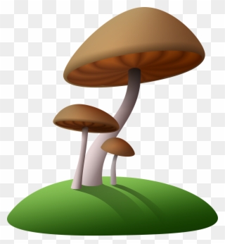 Cartoon Tree Stump 9, Buy Clip Art - Transparent Background Mushroom Clip Art - Png Download