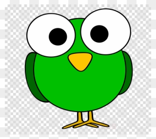 Birds With Big Eyes Clipart Bird Owl Clip Art - Bird's Eye Clip Art - Png Download
