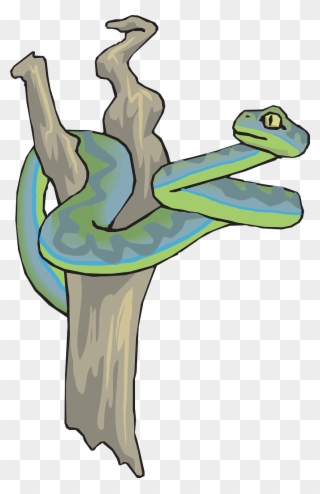 Snake Dead Tree Branch Reptile Png Image - Serpiente En Un Arbol Clipart
