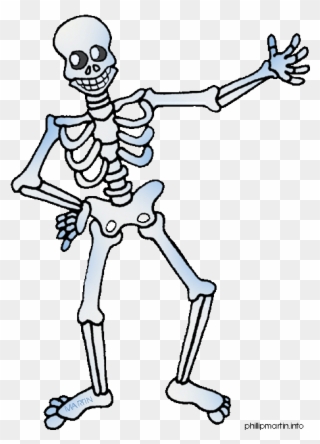 Metal Clipart Free Clipart Human Body - Skeleton Clipart - Png Download