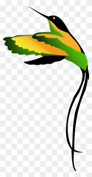 Jamaican National Bird Clipart Drawing - Jamaican National Bird Drawing - Png Download