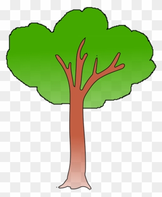 Cartoon Tree Cliparts 12, Buy Clip Art - Un Árbol Verde - Png Download