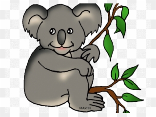 Koala Bear Clipart Phillip Martin - Koala Clip Art - Png Download