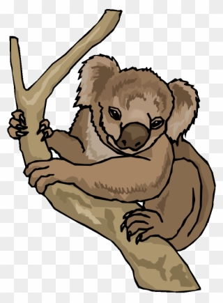 Vector And Free Koala Clipart 4 Favorite - Koala Clip Art - Png Download