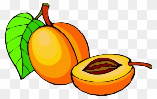Fruit - Peach Clipart - Png Download
