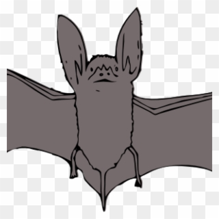 Bat Clipart Bat Clip Art At Clker Vector Clip Art Online - Bat With Open Wings - Png Download
