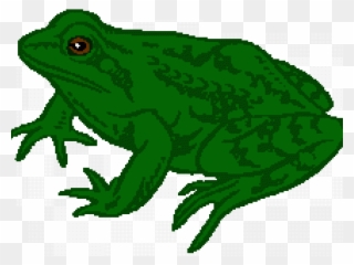 Green Frog Clipart Tadpole Frog - Frog Clip Art - Png Download