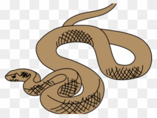 Python Clipart Pet Snake - Brown Tree Snake Clip Art - Png Download
