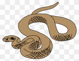 Brown Tree Snake Clip Art - Png Download