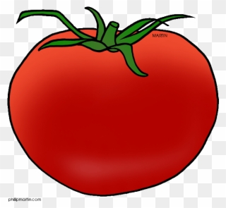 Tomato Clip Art - Fruit - Png Download