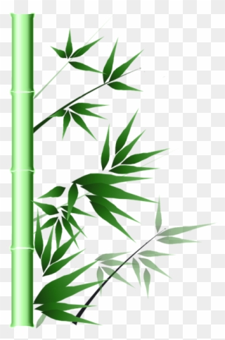 Bamboo Png 19, Buy Clip Art Transparent Png