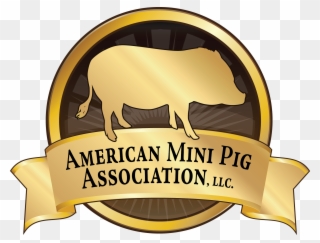 Become An American Mini Pig Association Member - American Mini Pig Coloring Book Clipart