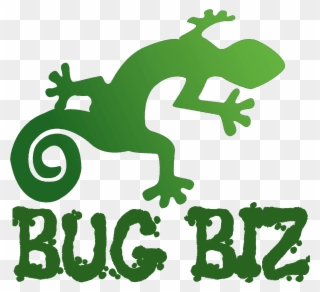 Bug Biz Reptile And Creepy Crawly Parties - Chameleon Clipart