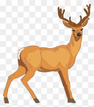 Baby Deer Clip Art Image - Vector Deer - Png Download