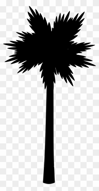 Palm Beach Tropic Silhouette Png Image - Palm Tree Clip Art Transparent Png