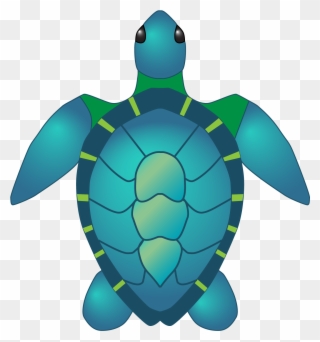 Sea Turtle Clipart Teal - Png Download (#2696612) - PinClipart