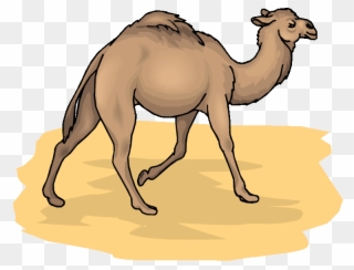 Free Cliparts Download Clip Art On Graphics - Camel Animal Clip Art - Png Download