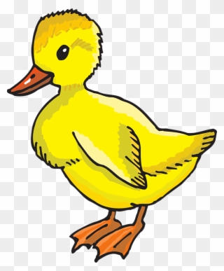 Thug Baby Cliparts 2, Buy Clip Art - Duckling Clip Art - Png Download