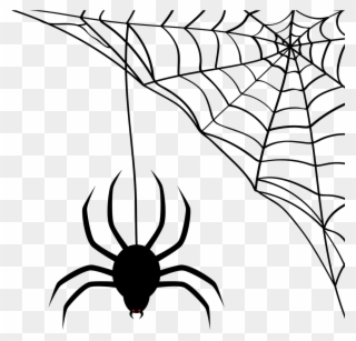 Spider Network Cobweb Halloween Png Image - Desenhos De Halloween Teia De Aranha Clipart