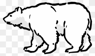 Graphic Black And White Stock Bear Image Illustration - My Arctic Animal Science Journal Clipart