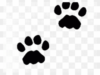 Cat Paw Prints Images - Footprint Of Animals Clipart