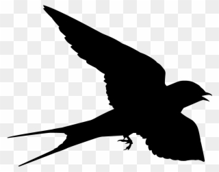 Swallow Clipart Silhouette - Swallow Shape - Png Download
