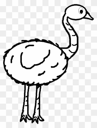 Emu Clipart Black And White - Emu Clipart Outline - Png Download