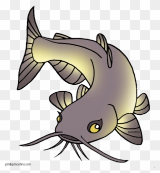 Channel Catfish Clip Art - Cartoon Picture Of Catfish - Png Download