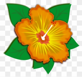Cartoon Hawaiian Flower 24, Buy Clip Art - ภาพ ตัด ปะ ดอกไม้ - Png Download