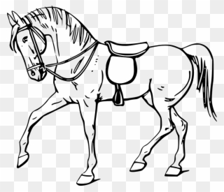 Horse Line Art 1, Buy Clip Art - Horse Clipart Black And White - Png Download