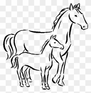 Horse - Draw A Small Horse Clipart